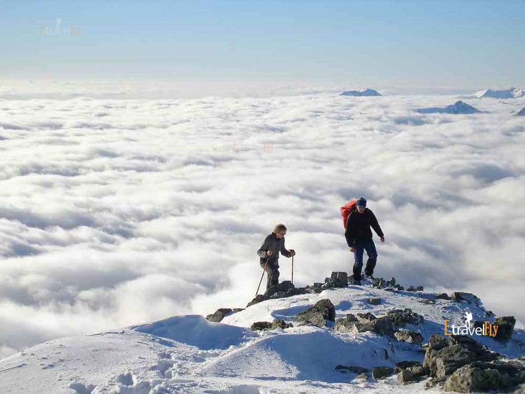 Kedarkantha Trek – 5 Days / 4 Nights Himalayan Summit Adventure