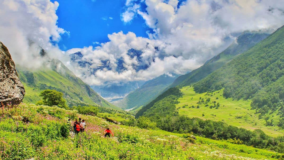 Valley of Flowers Trek – 6 Days / 5 Nights Himalayan Adventure