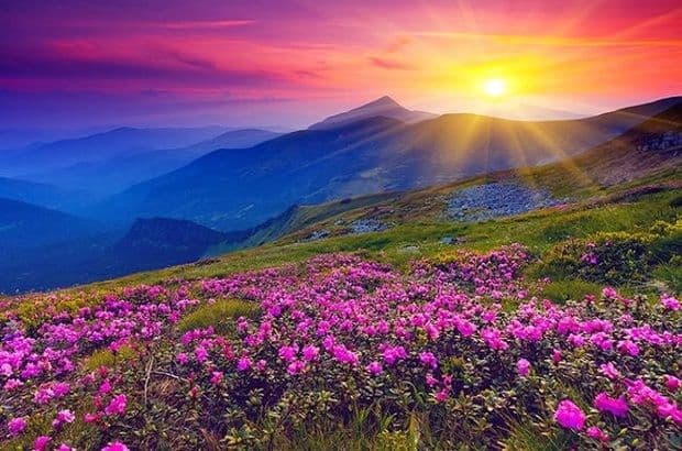 Hemkund Sahib & Valley of Flowers 5N/6D – Faith Meets the Himalayas